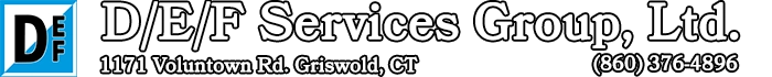 D/E/F Services Group, LTD Logo