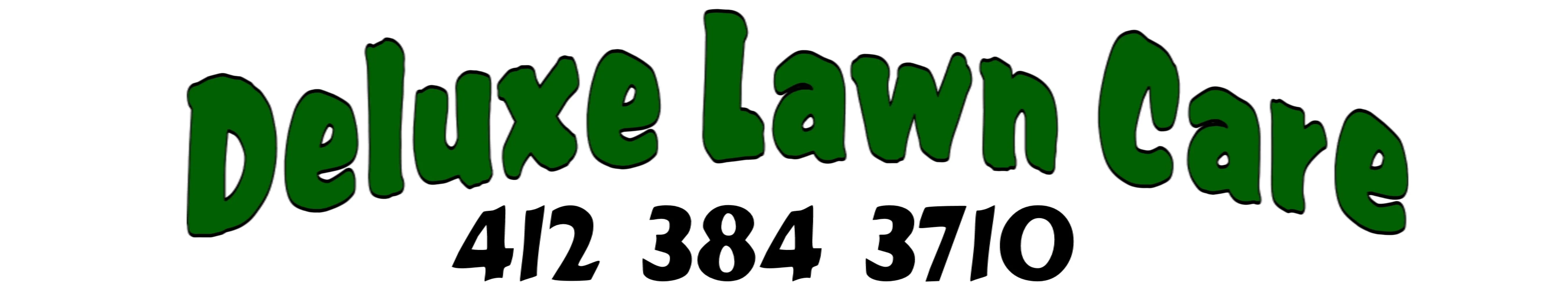 Deluxe Lawn Care LLC Logo