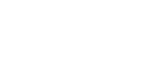 DFW Roofing Pro Logo