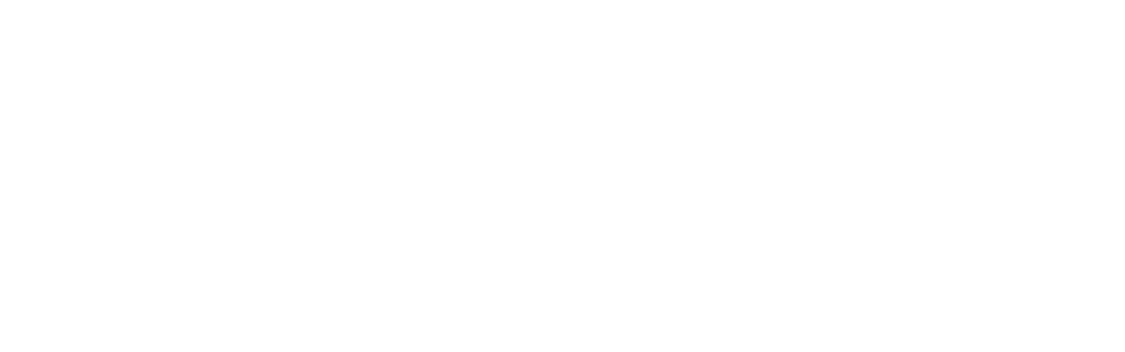 Direct Electric Company Logo