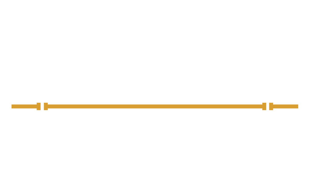 Dirosato Plumbing and Heating Logo