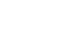 Discount Solar Solutions Logo