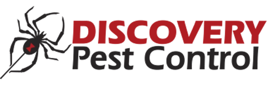 Discovery Pest Control Logo