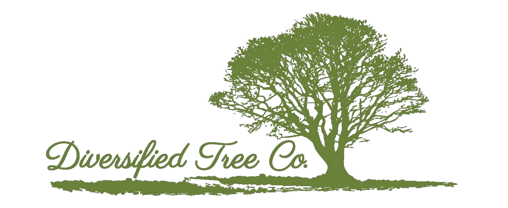 Diversified Tree Company Logo