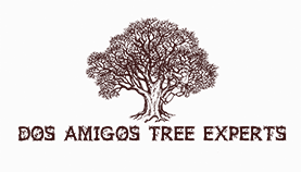 Dos Amigos Tree Experts Logo