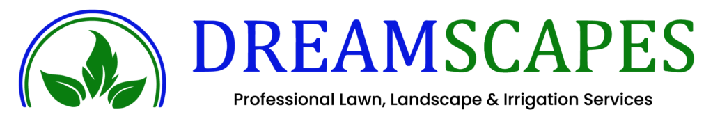 DreamScapes Logo