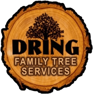 Dring Family Tree Services LLC Logo