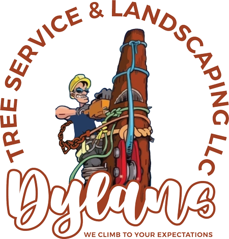 Dylans Tree Service and Landscaping LLC Logo