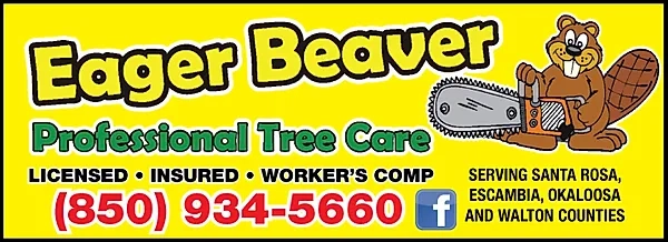 Eager Beaver Professional Tree Care Logo