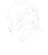 Eagle Eye Renovations Logo