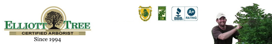 Elliott Tree Logo
