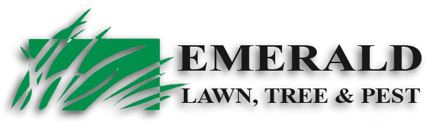 Emerald Lawns Inc Logo
