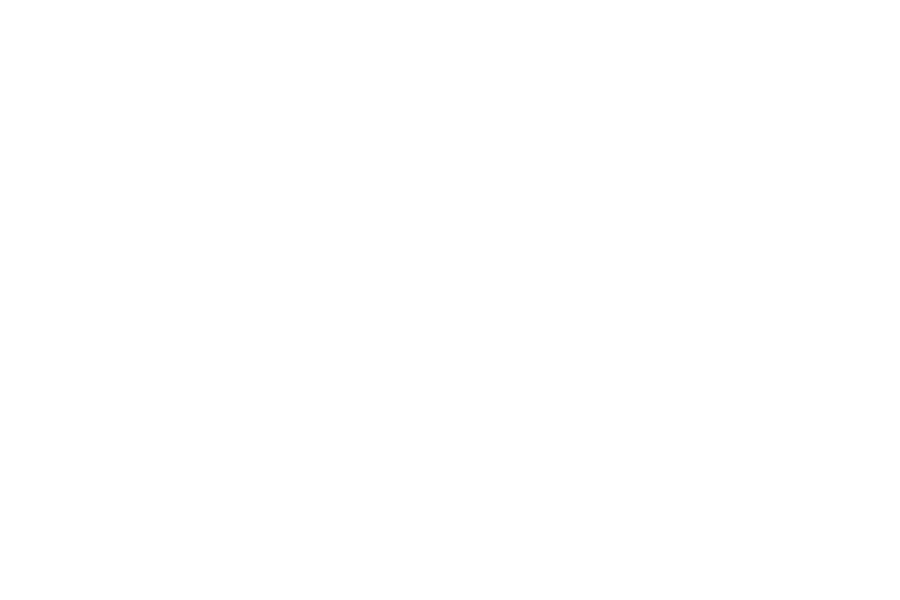 Emerald Moving & Storage Logo