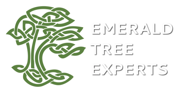 Emerald Tree Experts LLC Logo