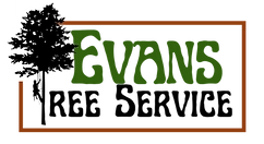 Evans Tree and Lawn Service LLC Logo