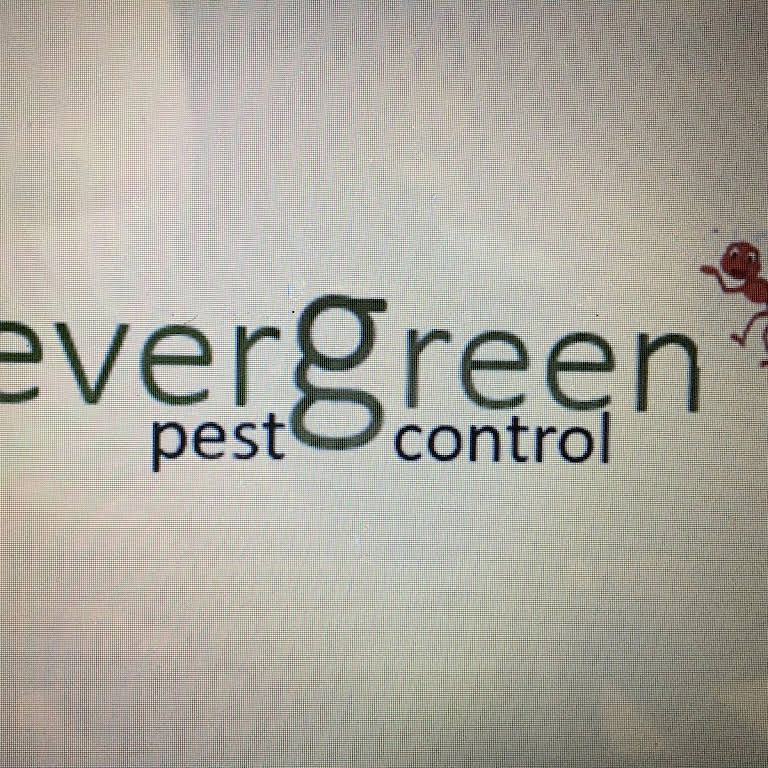 Evergreen Pest Control LLC Logo
