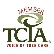 Evergreen Tree Services Logo