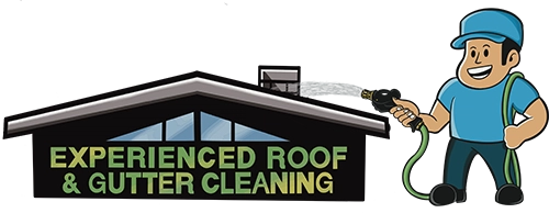 Experienced Roof & Gutter Cleaning Logo