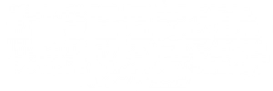 Express Moving & Storage Logo