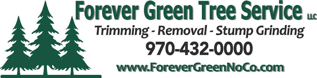 Forever Green Tree Service Logo