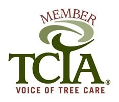 Foxfire Tree Care Logo