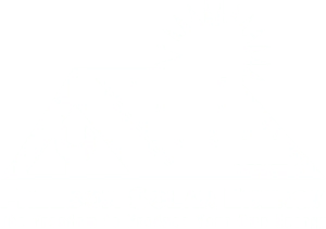 Freedom Solar Energy Logo