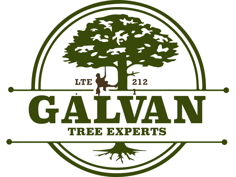 Galvan Tree Experts Logo