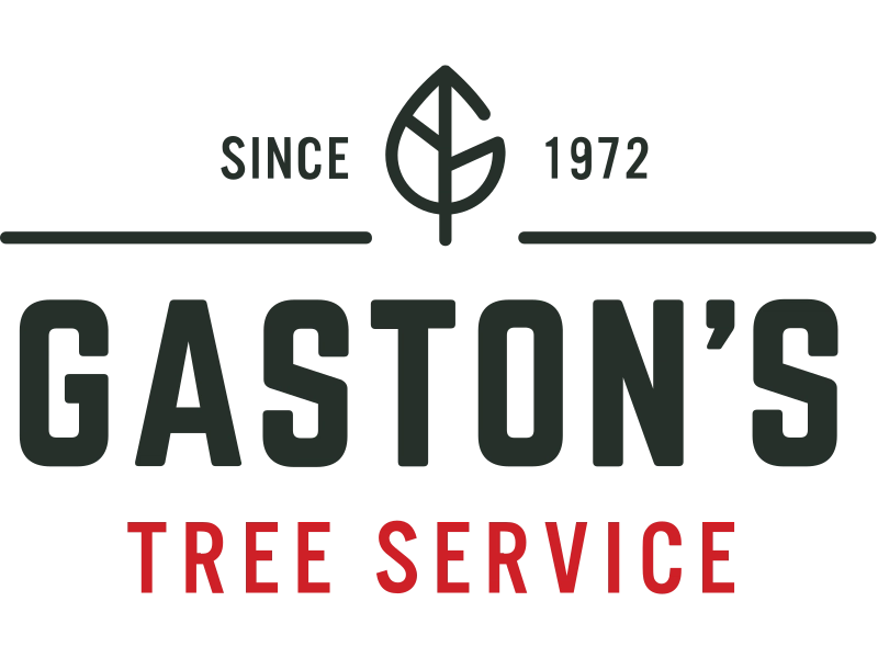 Gaston's Tree Service LLC Logo