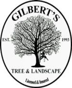 Gilbert's Tree & Landscape, Inc. Logo