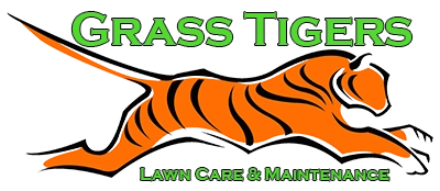 Grass Tiger Logo