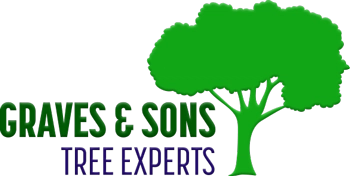 Graves & Sons Tree Experts, LLC Logo
