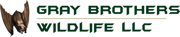 Gray Brothers Bat-Wildlife-Squirrel Removal CT Logo