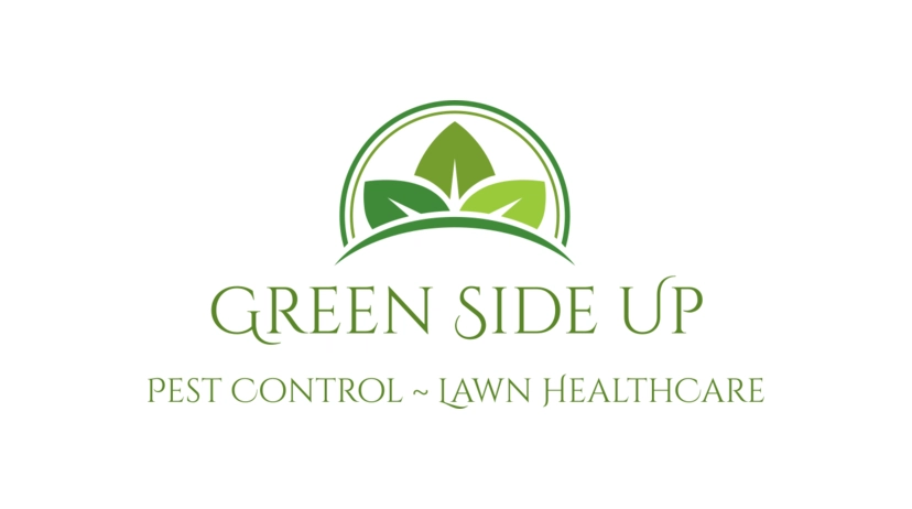Green Side Up, LLC Logo