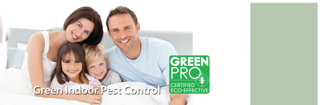 Green Solutions Lawn Care & Pest Control Logo