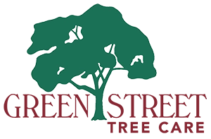 Greenstreet Tree Care Logo