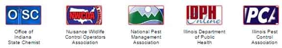 Guardian Pest Control Logo