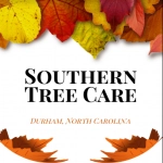 Gulf Coast Tree Specialists Logo