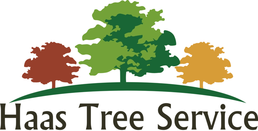 Haas Tree Service Logo