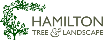 Hamilton Tree & Landscape Inc Logo