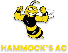 Hammock's AC - HVAC Company ( Installation, Repair & Replacement ) Logo