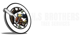 H&S Brothers Tree Service Logo