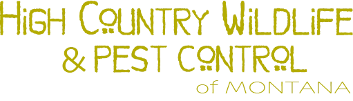 High Country Wildlife and Pest Control of Montana Logo