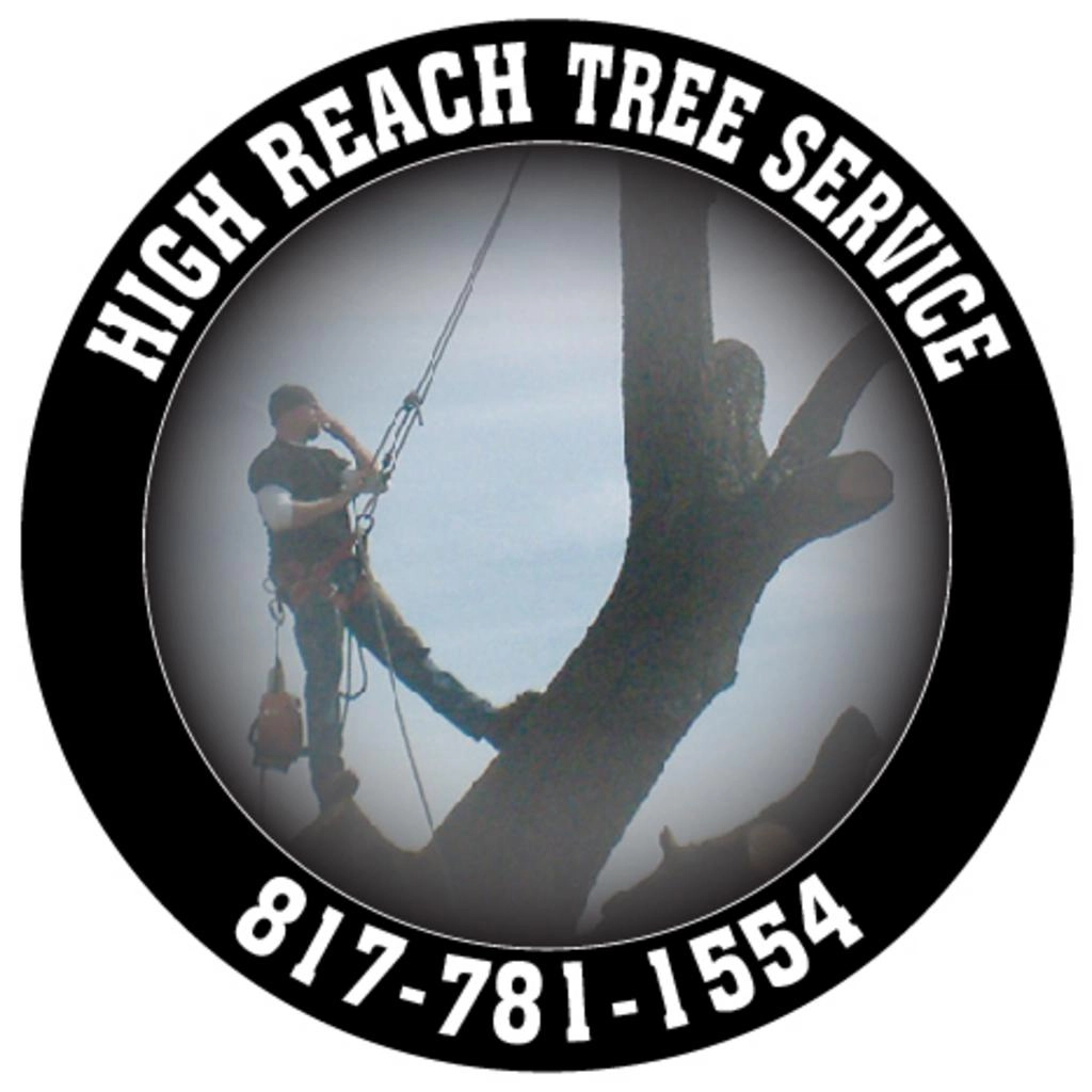 High Reach Tree Service Logo