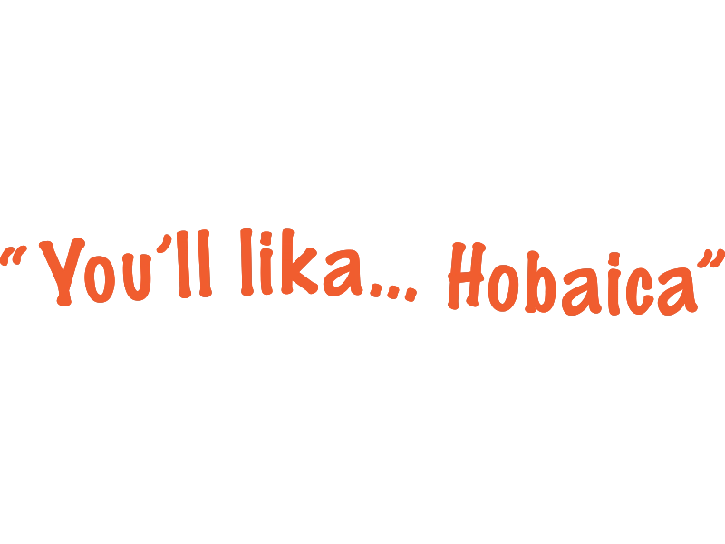 Hobaica Services Logo