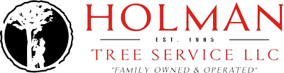 Holman Tree Service Logo