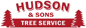 Hudson & Son's Tree Service Logo