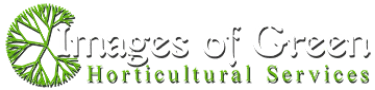 Images of Green - IOG Logo
