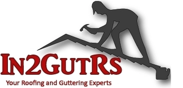 In2gutrs Logo