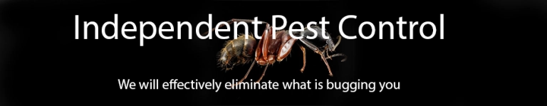 Independent Termite & Pest Control Logo
