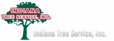 Indiana Tree Service Logo
